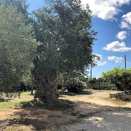 Le Stanze Di Casa Polinisso Guest House Carovigno Eksteriør bilde