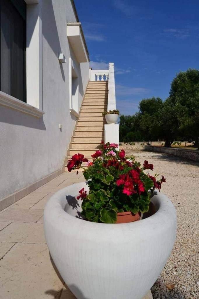 Le Stanze Di Casa Polinisso Guest House Carovigno Eksteriør bilde