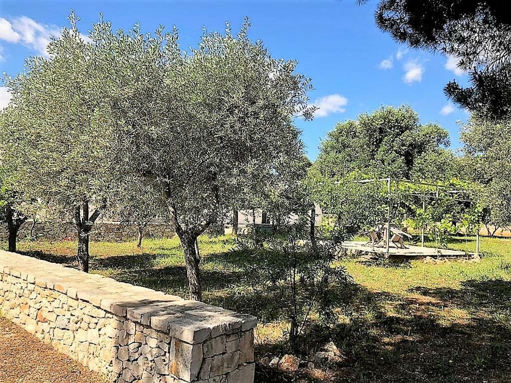 Le Stanze Di Casa Polinisso Guest House Carovigno Eksteriør bilde