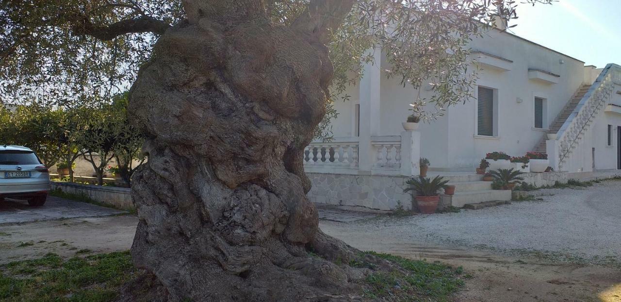 Le Stanze Di Casa Polinisso Guest House Carovigno Eksteriør bilde
